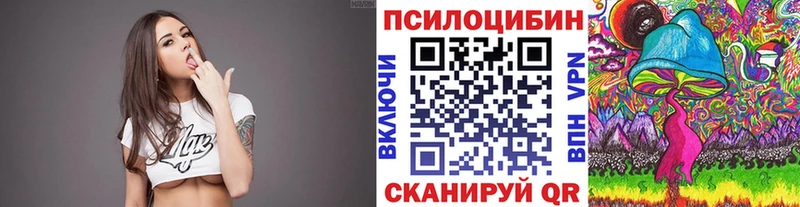 OMG рабочий сайт  закладка  Злынка  Галлюциногенные грибы прущие грибы 